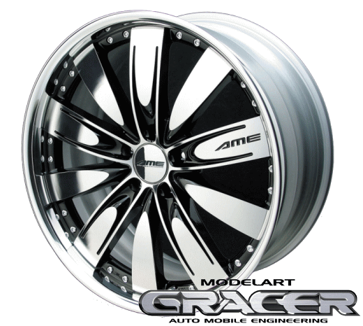 4{瑗 AME MODELART GRACER 10.0x19 zC[1{ f[gO[T[