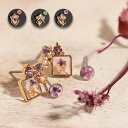 ピアス レディース 秋 冬 秋冬 ラインストーン パール キャッチ ドライフラワー ビジュー スタッドピアス おしゃれ かわいい セットピアス エスニック アジアン ネイティブ チチカカ公式 TITICACA / ゴールドフレームセットピアス ziwjca8613