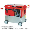 ショッピング高圧洗浄機 スーパー工業　エンジン式　高圧洗浄機　（静音型） SE-3005ST6 ( SE3005ST6 ) スーパー工業（株）