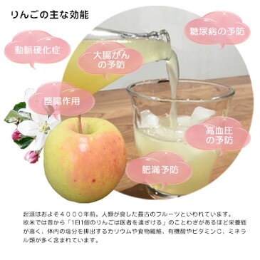 りんごジュース信州 長野県とよの産 こだわり完熟林檎1001000ml瓶 6本セット サンふじ果汁100%ストレート リンゴジュース