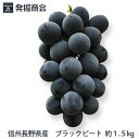 信州 長野県産【ブラックビート】約2kg(3房前後)種なしぶどう【送料無料】