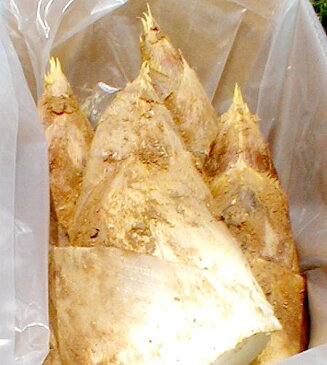 京都産 京たけのこ 約2kg(2〜5本前後)米ぬかつき歴史ある春の京野菜「高級竹の子(筍)」として知られる日本一の誉れの京都西山産お徳用☆出来るだけお届け日指定は御勘弁ください