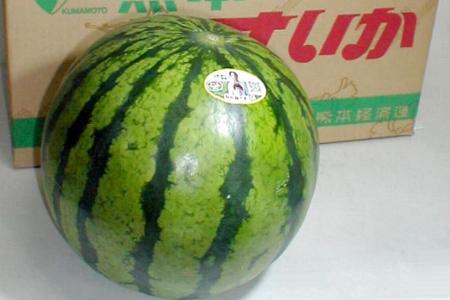 熊本産 ハウスすいか2Lサイズ(2玉入り)夏の雰囲気を先取り♪しかもお味のいい西瓜です