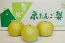 京都産　「京たんご梨」　ゴールド二十世紀梨5kg　18〜22個入り糖度11.5度以上！甘みと酸味のみずみずしい20世紀なし　「和梨」※9月中旬ごろからの発送となります「わけあり20世紀梨です」