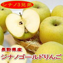 「送料無料」訳あり(わけあり) シナノゴールド リンゴ 長野産5kg 中玉 16〜20個入りパリッとした食感、甘みが強くコクが有るリンゴです。外観にキズ変形があります 林檎 りんご アップル 信州みやげ 訳あり 本場 信濃 りんご