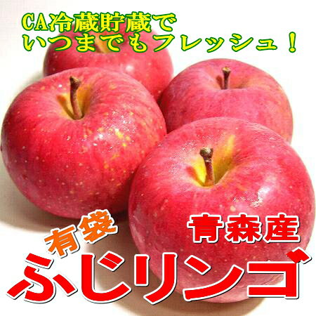 青森産　新鮮 ふじ りンゴ　10kg　大玉28〜32個入り●店長おすすめ果物です夏でもフレッシュな甘い ふじリンゴ　CA長期貯蔵リンゴ【2sp_120427_a】【RCPsuper1206】青森りんご CA冷蔵 富士 林檎