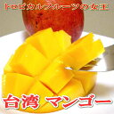 台湾産　マンゴー　大玉 6個入り香り高くとっても美味な台湾のマンゴーです♪　アップルマンゴー【...