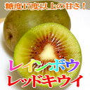 ¥ì¥¤¥ó¥Ü¥¦¥ì¥Ã¥É¥¥¦¥¤¡¡Âç¶Ì¡¡23¸ÄÆþ¤ê¡¡2L¥µ¥¤¥º¡¡Ìó3kg¡¡Ê¡²¬»ºÀÖ¤¤²ÌÆù¡¡»ÀÌ£¤¬¾¯¤Ê¤¤¡ª´Å¤¤¥¥¦¥¤¥Õ¥ë¡¼¥Ä¡¡¥ì¥Ã¥É¥µ¥ó¡¡È¬½÷¡Ê¤ä¤á¡Ë