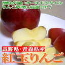 青森・長野産 紅玉リンゴ(こうぎょくりんご)5kg かなり小玉 28?33個前後入り懐かしい甘酸っぱいリンゴです♪色が変わりにくいのでリンゴ料理にも適した林檎です。小玉ほど珍重されますためご用意が難しいこともございます。【RCP】02P20Sep14