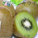 NZ産 グリーンキウイフルーツ 約3.6kg 大玉27個入り ゼスプリ ニュージーランド|父の日 ギフト キウイフルーツ ヘイワード 緑肉 キウイ ヘイワード ビタミン