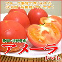 ÀŲ¬¡¦Ä¹Ì¡¡¥¢¥á¡¼¥é¥È¥Þ¥È¡¡1kg´Å¤¤¥È¥Þ¥È¡¡¥Õ¥ë¡¼¥Ä´¶³Ð¤Ç¥µ¥é¥À¤Ëꤍ¤Æ¤âÈþÌ£¤·¤¯Ì£¤ï¤¨¤ë¡Ö¹âÅüÅ٤ȤޤȡפǤ¹¡ª¡¡¾®Î³¥È¥Þ¥È¡¡¥Õ¥ë¡¼¥Ä¥È¥Þ¥È¡¡¡Ö¥ß¥Ë¥È¥Þ¥È¡¡¥×¥Á¥È¥Þ¥È¡¡¥¢¥á¥é¡¡¤È¤Þ¤È¡×