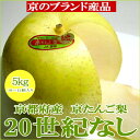 二十世紀梨(20世紀梨)(にじゅっせいきなし)約5kg 特大...