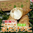 タケノコ「朝掘り」 京 たけのこ お徳用京都西山産 4kg(...