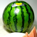 送料無料 すいか 温室小玉すいか「ルナピエナ」 約10kg ...
