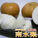 長野産 南水梨 (なんすいなし) 約5kg 大玉 12~14個入り 優糖生 化粧箱入り|ゆうとうせい ナンスイナシ 和梨 赤梨 信州梨 しんしゅうなし 秋 オータム 贈り物 ギフト プレゼント ギフトボックス
