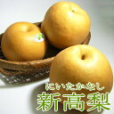 新高梨(にいたかなし)約5kg 大玉 9〜10個前後入り|赤...