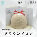 ★送料無料★ 静岡県産 クラウンメロン 白ランク 1玉入り 白ランク のものをお届けします。クラウン メロン 百年目利き 市場のプロが厳選 果物 フルーツ くだもの 贈答 ギフト プレゼント 快気祝い お祝い 粗品 お礼 内祝い 誕生日 御見舞 御供 出産祝い 七五三 お歳暮