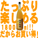 紀州のゆず梅酒　1800ml徳島の柚子果汁使用・中野BC【和歌山県産】【果実酒】ゆず 柚子