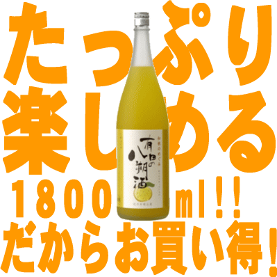 和歌のめぐみ「有田の八朔酒」1800ml世界一統【和歌山県産】【果実酒】...:tochikame:10000277