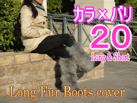 S20(J~o)D݂̃fUCIщyAEg..