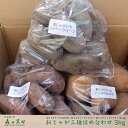 2020年収穫【新じゃが】北海道帯広産じゃがいも3種セット【各1kg合計3kg】野菜/じゃがいも/馬鈴薯/インカのめざめ/ノーザンルビー/シャドークイーン/贈答/北海道の贈り物
