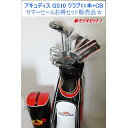 メンズゴルフクラブセット フル11本クラブ+CB パッション...