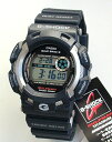 !!JVIG-SHOCKhK\̃Kt}CASIO\[[dgGVbNKt}GW-9100-...