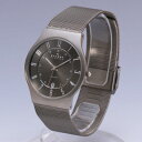 【ポイント10倍!楽天お買い物マラソン 最大2000円引き】SKAGEN/スカーゲン233XLTTM/メンズ腕時計 Titanium Grey /MEN'S 【あす楽対応_東海】【最安挑戦】