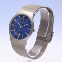 SKAGEN / スカーゲン233XLTTN / メンズ腕時計 Titanium Grey / メンズ 【あす楽対応_東海】
