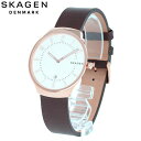 SKAGEN スカーゲン SKW6458腕時計 時計 メンズ クオーツ レザー ブラウン ゴールド ホワイト カジュアルプレゼント ギフト 1年保証 送料無料