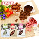 送料無料 チョコレートギフト カカオボール詰め合わせビビッドセット 80g×3種