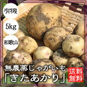 無農薬じゃがいも(きたあかり)5kg【送料無料】自然栽培(無農薬)有機肥料のみ使用|じゃがいも|ジャガイモ|無農薬|和歌山|グリーンジャンクション