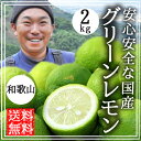 レモン 無農薬 国産 2kg 送料無料 グリーンレモン 青レモン 和歌山産 有機栽培 レモン