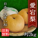 梨 2kg 送料無料 愛宕梨(あたご梨) 贈り物に