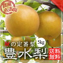 送料無料 豊水 梨 5kg 贈答 敬老の日 ギフト 豊水梨 ...