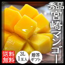 宮崎完熟マンゴー 送料無料 3L 1玉入 父の日 宮崎産 ギフト 秀品 贈答用 父の日プレゼント 生産農家直送 酒井果樹園