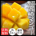 宮崎完熟マンゴー 送料無料 3L 2玉入 父の日 ギフト 宮崎産 秀品 贈答用 父の日プレゼント 生産農家直送 酒井果樹園