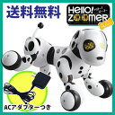 【純正ACアダプターTYPE5付き♪】タカラトミー オムニボット Hello! Zoomer ハロー!ズーマー ハーティーダルメシアン