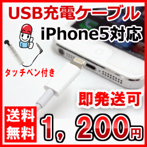 iPhone5 アイフォーン5 USB 充電ケーブル 8pin Lightning DOC…...:tokiwadrug:10010742