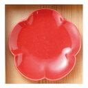 レッド梅小皿 和食器 小皿 日本製 美濃焼 業務用 15-2...