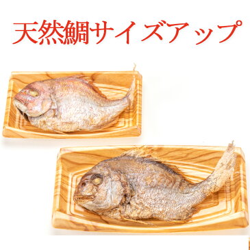 【楽天一位】お食い初めセット壱│鯛サイズアップで送料無料!今だけ実施中│これがあればお食い初めの儀式が出来ます│歯固め石、作法書、鯛めしレシピ付