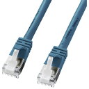 サンワサプライ KB-STPTS-10BL(ブルー) ツメ折れ防止カテゴリ5eSTP LANケーブル 10m