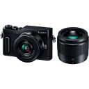 パナソニック LUMIX DC-GF10W-K ダブルレンズキット(ブラック)