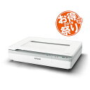 【長期保証付】エプソン DS-50000C0 A3フラットベッドスキャナー お得祭り2019