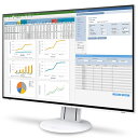 EIZO EV2457-WT(ホワイト) FlexScan 24.1型ワイド 液晶ディスプレイ