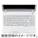 サンワサプライ FA-NNXV48 キーボードカバー NEC...