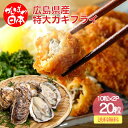 特大 カキフライ 広島県産 45g×10粒×2パック