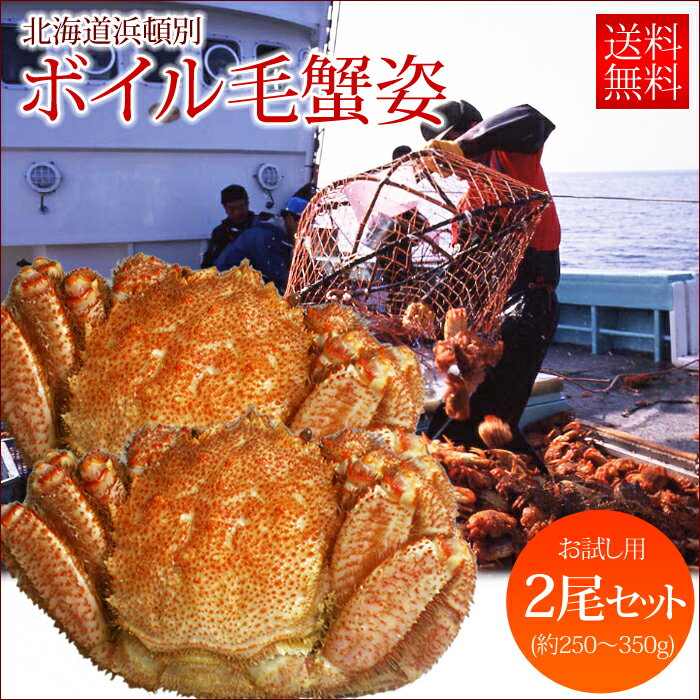 [お試し用] ボイル 毛蟹 (約250〜350g)×2尾