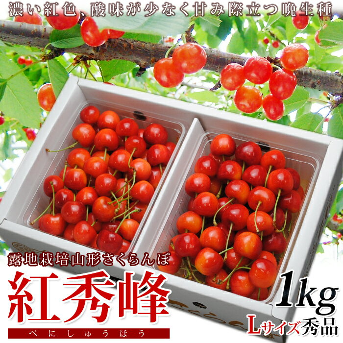 山形県東根産さくらんぼ【紅秀峰バラ詰め1kg(Lサイズ)】【産地直送】店長おすすめ！甘さの強い！濃い紅色のサクランボ【7月1日から順次発送】【露地栽培】【送料無料】【2sp_120611_a】