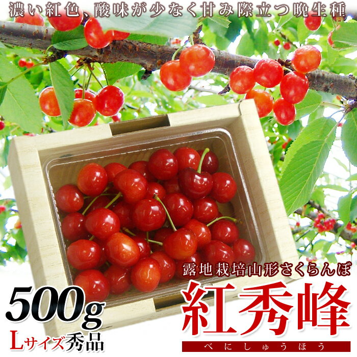 山形県東根産さくらんぼ【紅秀峰バラ詰め500g(Lサイズ)】甘さの強い！濃い紅色のサクランボ【7/1から発送予定】【露地栽培】【楽ギフ_のし】【楽ギ...